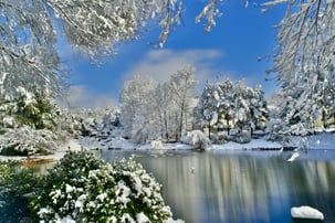 Winter pond with fountain