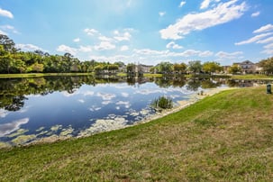 Pond with blue sky