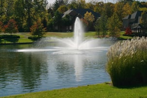 dangers of diy pond management 