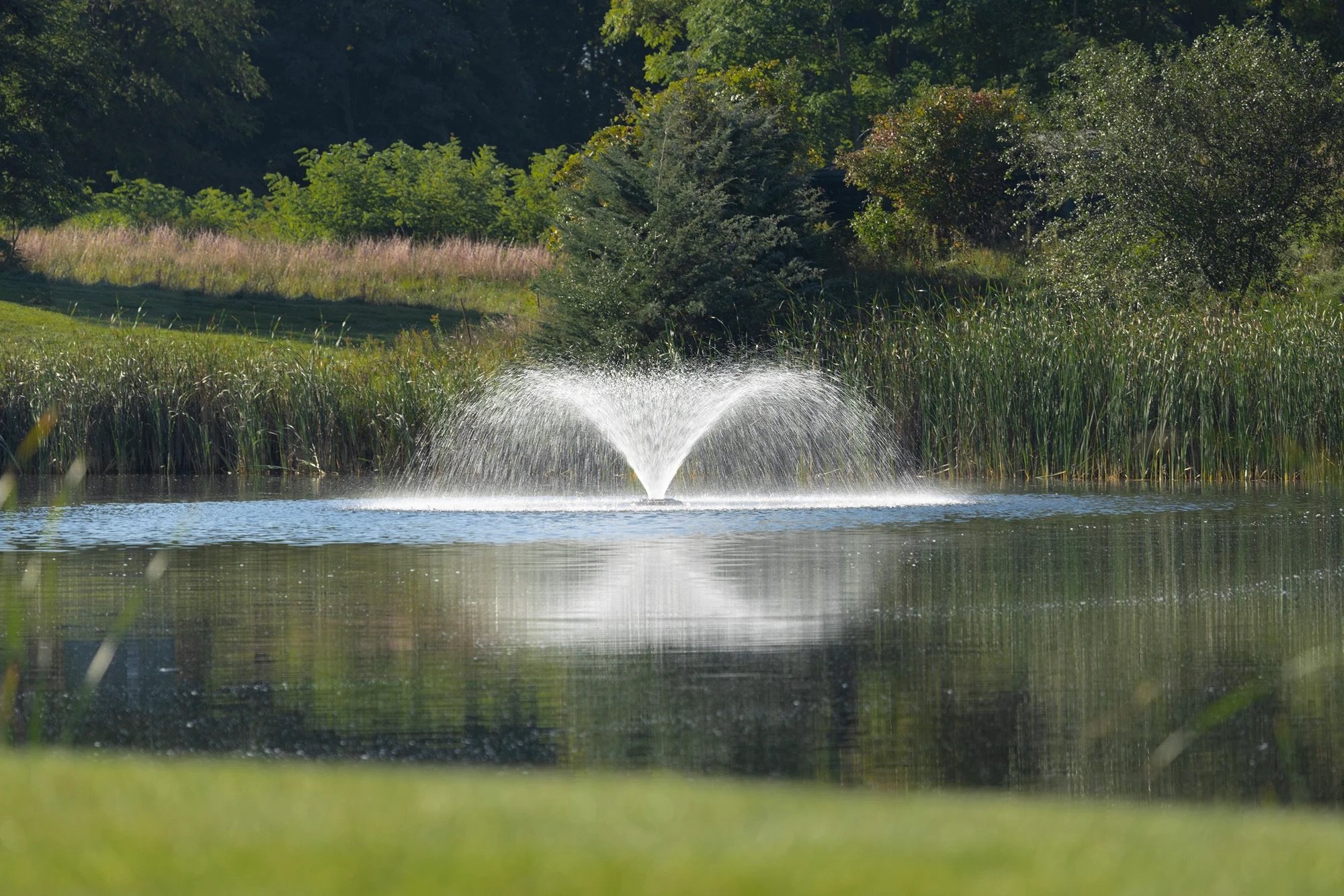 Kasco_VFXSeries_Fountain